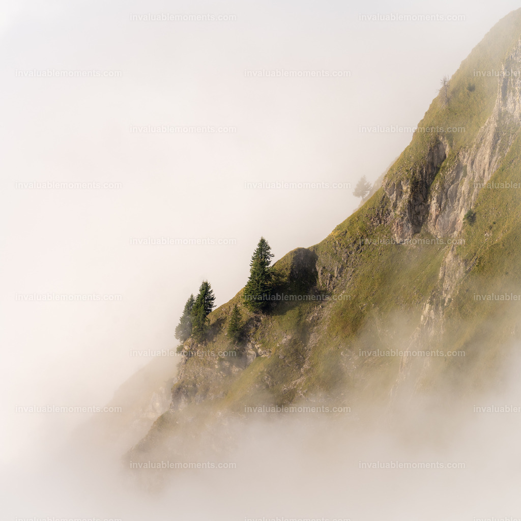 DSC_9515 | invaluablemoments.com - Realisiert mit Pictrs.com