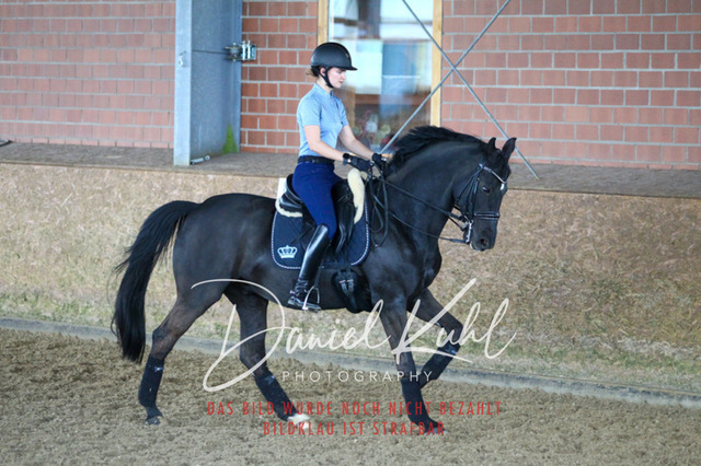 DKP42715 | Turniersportfotografie; Pferdefotografie; Dressurfotografie