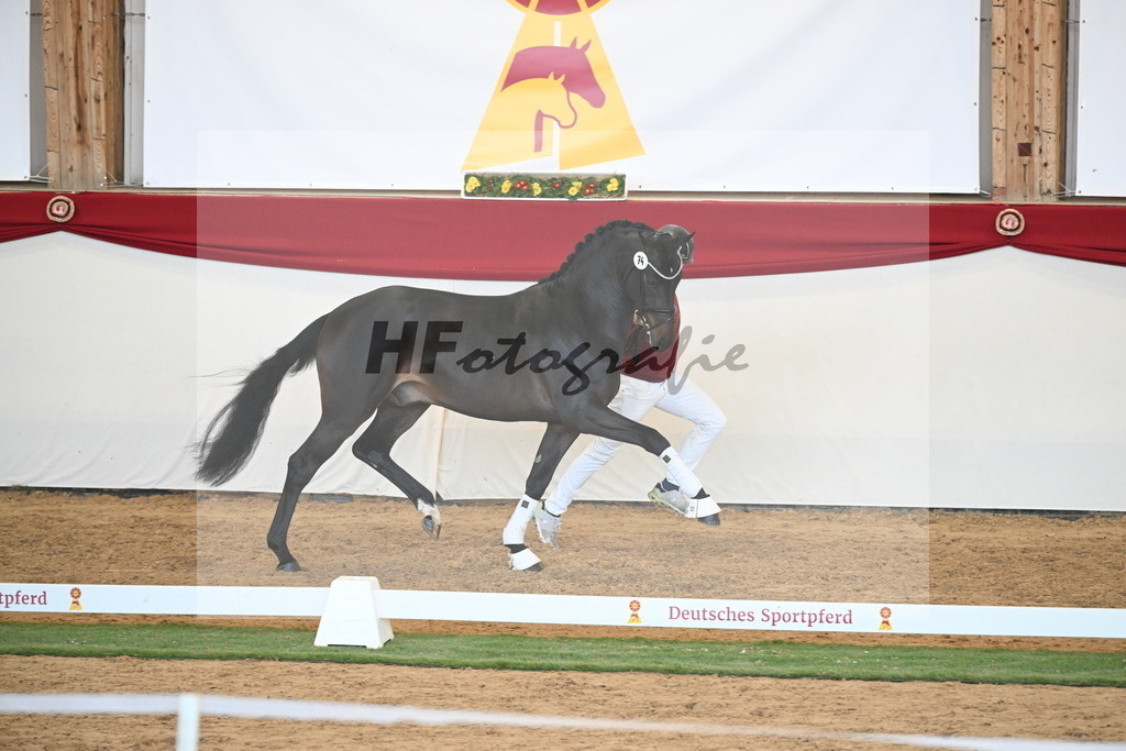Kat.-Nr. 74 v. Quaterback_Mieleszko-Vekens_2250653 | hf-fotografie - Realisiert mit Pictrs.com