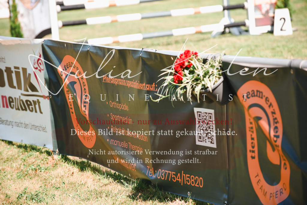 DSC_2686 | Pferde- und Turnierfotografie in Westsachsen. Pferdeportraits, Auftragszeichnungen und intuitive Kunst.