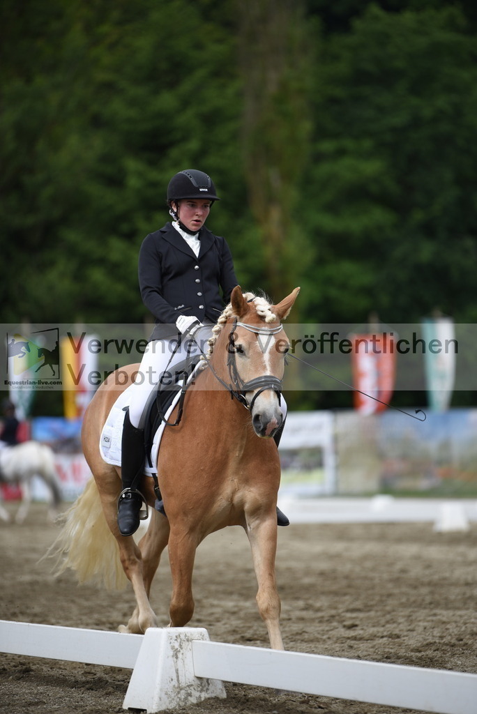 DSC_8600 | equestrian-live-com