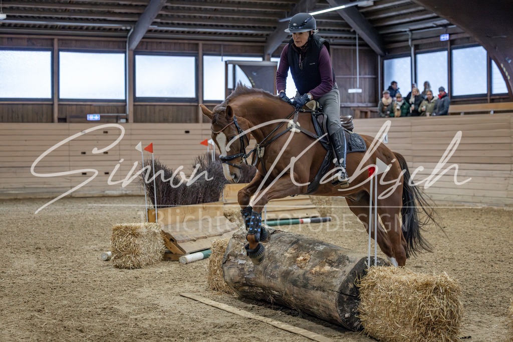20260221-_3LI8455 | Tierfotografie Pferde, Hunde, Katzen, Haustiere.
Turnierfotografie Reitturniere, Reiten, Springreiten, Dressur in Hanau, dem Main-Kinzig-Kreis und dem Rhein-Main- Gebiet um Frankfurt