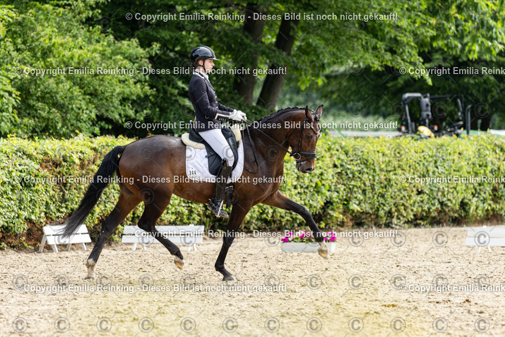 CL5A5450 | Emilia Reinking Fotografie - Realisiert mit Pictrs.com