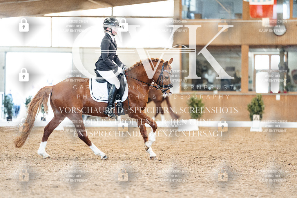 CK908963 | Turnierfotografie Pferdefotografie Trier Rheinland-Pfalz Pferdesport Reitsport Tierfotografie Sportfotografie Pferdevideo Pferdevideografie Equestrianvideography equestrianphotography  - Realisiert mit Pictrs.com