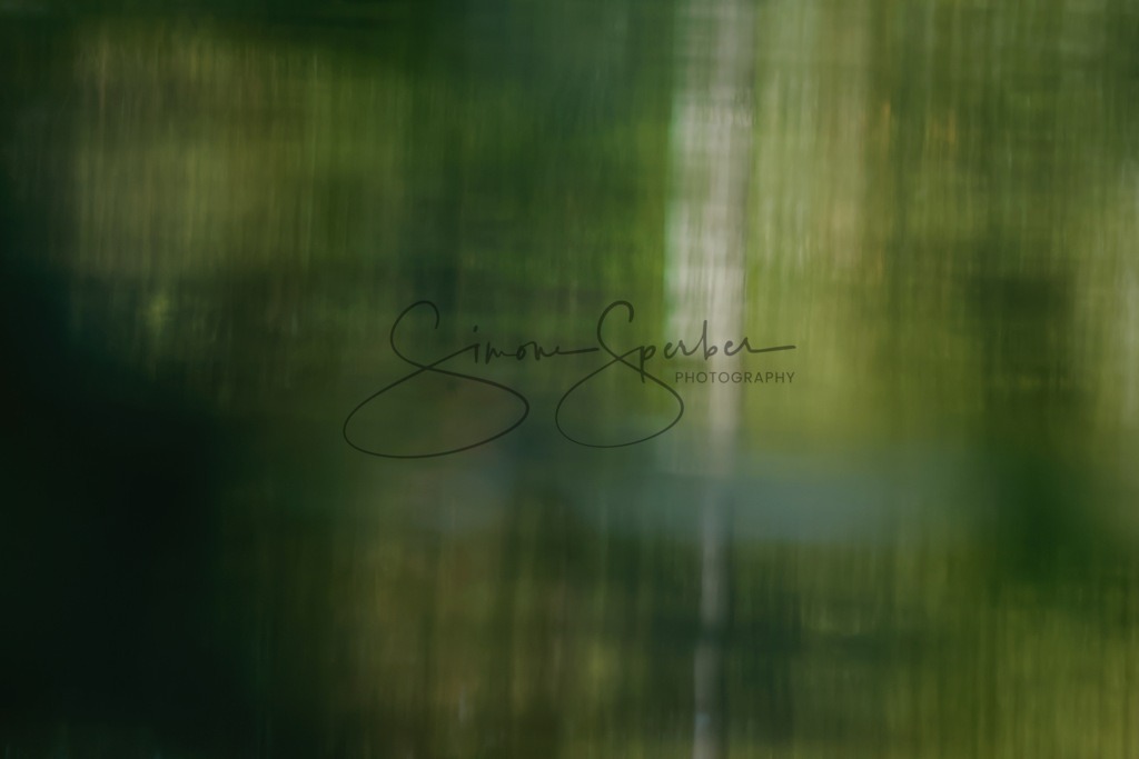 Abstrakter See | Simone Sperber, svb-photography,Fotografin,Bilddesignerin,Naturfotografie,Macrofotografie,Tierfotografie,Wildtierfotografie,Ausstellungen,Auftragsfotografie,Kunst,Art,Photographer,Shootings,Bildberatbeitung,Galerie,Shop