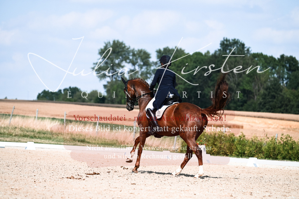DSC_3220 | Pferde- und Turnierfotografie in Westsachsen. Pferdeportraits, Auftragszeichnungen und intuitive Kunst.
