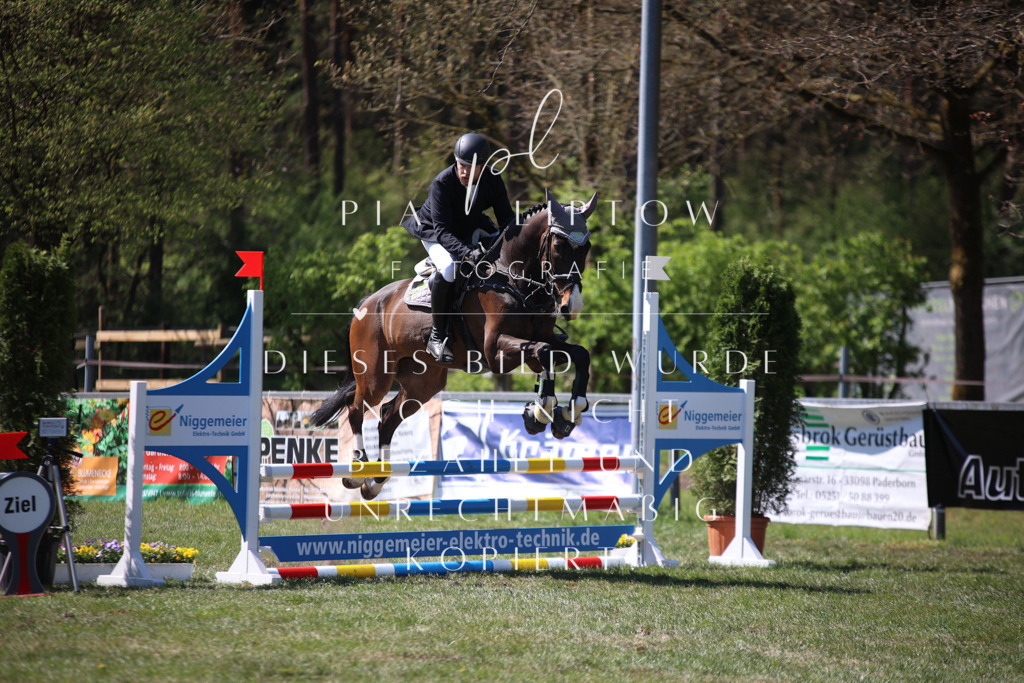 IMGT8035 | pl-fotografie