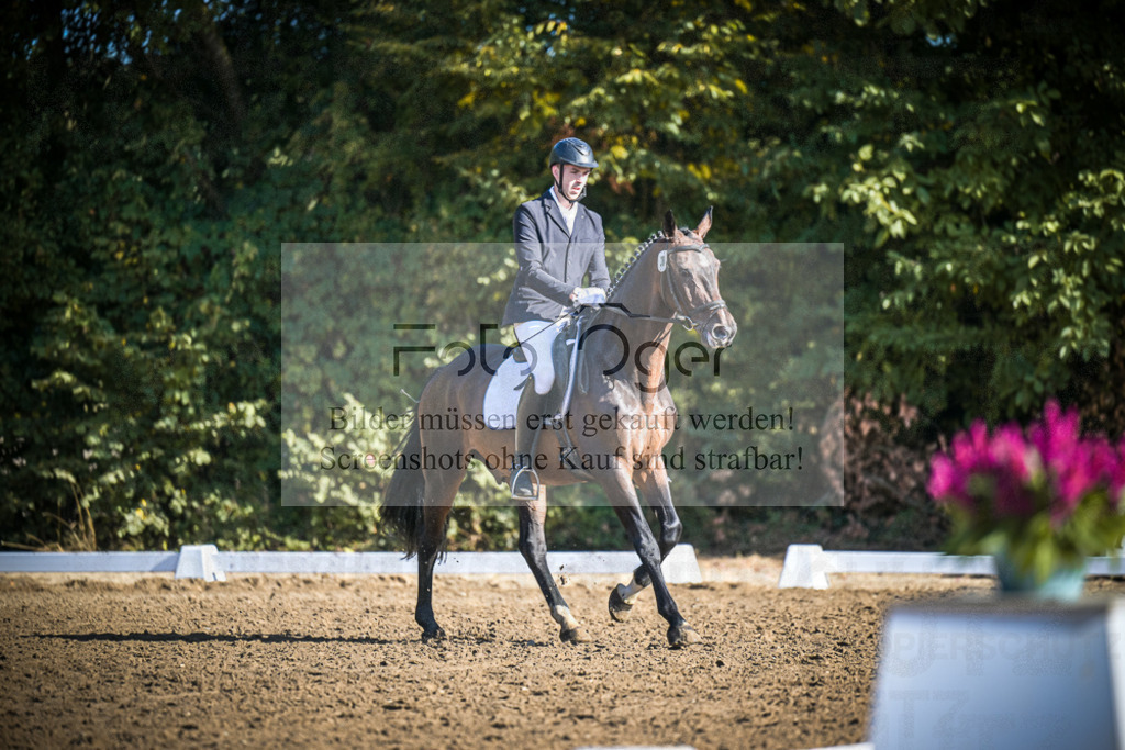 DOS_1422 | Entdecke hochwertige Reitturnierfotos von Foto Oger. Professionell, emotional und authentisch – jetzt Lieblingsmomente im Shop bestellen.Deutschlandweite Turnierfotografie. - Realisiert mit Pictrs.com