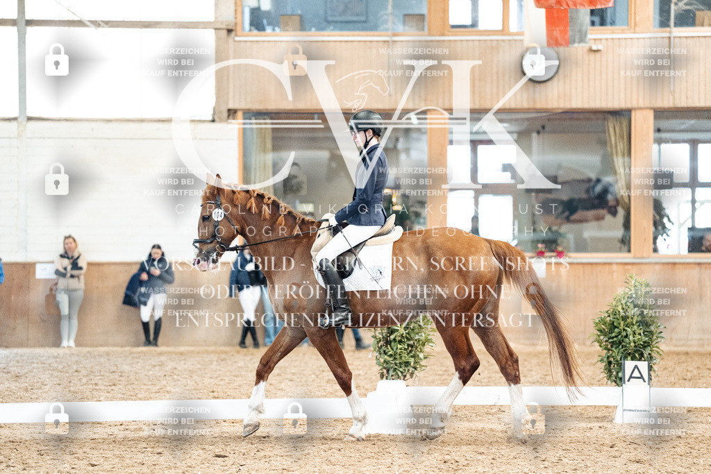 CK909946 | Turnierfotografie Pferdefotografie Trier Rheinland-Pfalz Pferdesport Reitsport Tierfotografie Sportfotografie Pferdevideo Pferdevideografie Equestrianvideography equestrianphotography  - Realisiert mit Pictrs.com