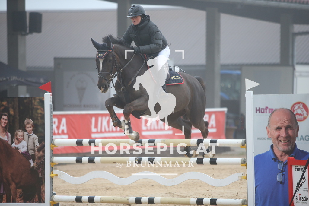 PP012514 | Willkommen bei Brunnmayr - Design & Fotografie – Ihrem Spezialisten für Reitturniere und Pferdeveranstaltungen in Oberösterreich, Salzburg und Bayern! Seit über 17 Jahren sind wir leidenschaftlich dabei.