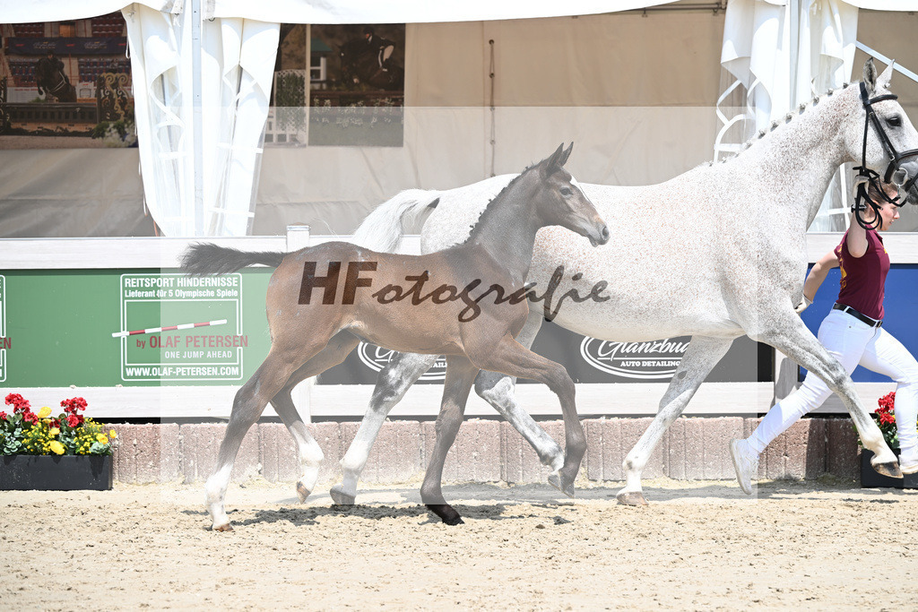 Cornets Balou x Casall_Gross_12250711 | hf-fotografie - Realisiert mit Pictrs.com