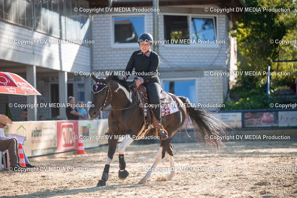 EWP_7098 | dv-media-shop - Realisiert mit Pictrs.com