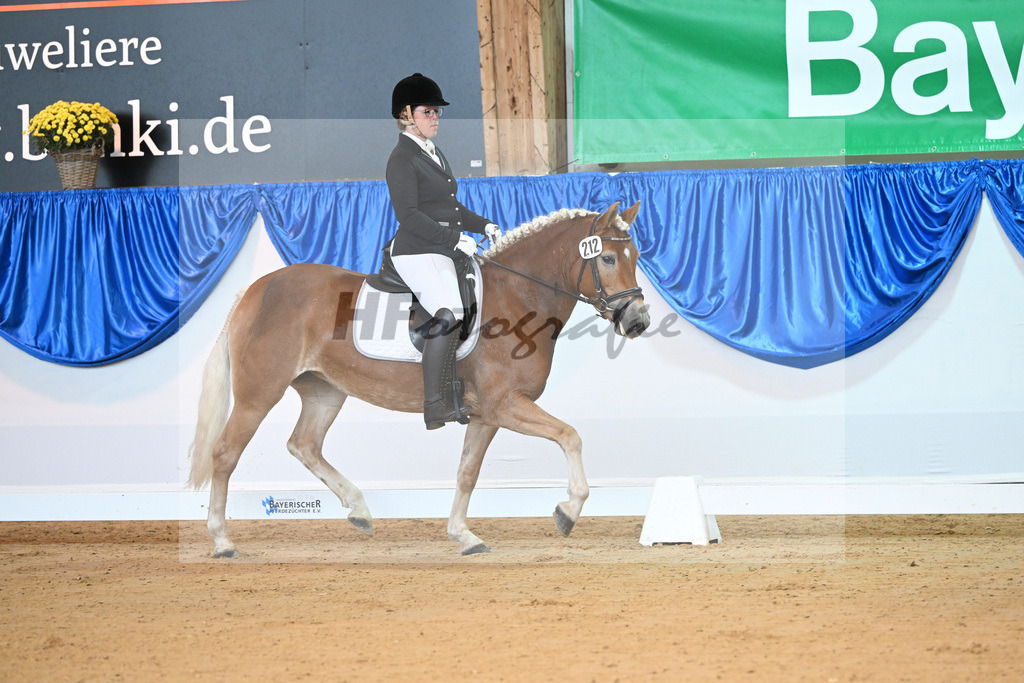 Kat-Nr. 212 Eyra_ZG Wolfgramm_54221607 | hf-fotografie - Realisiert mit Pictrs.com