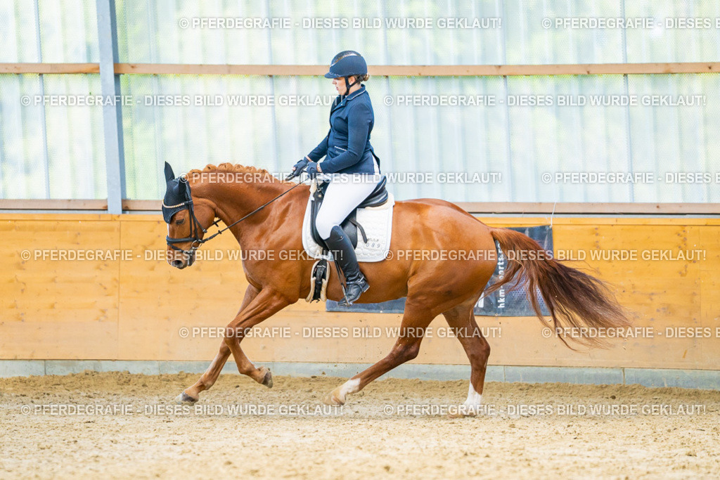 DSC07547 | Pferdegrafie