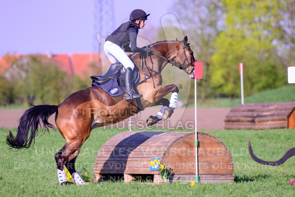 18042026-Gernlinden-04-1-1461 | Fokus Hufschlag Fotografie - Realisiert mit Pictrs.com