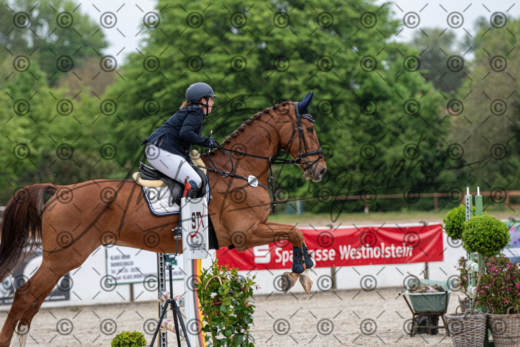 KPT_7490 | andre_photographic