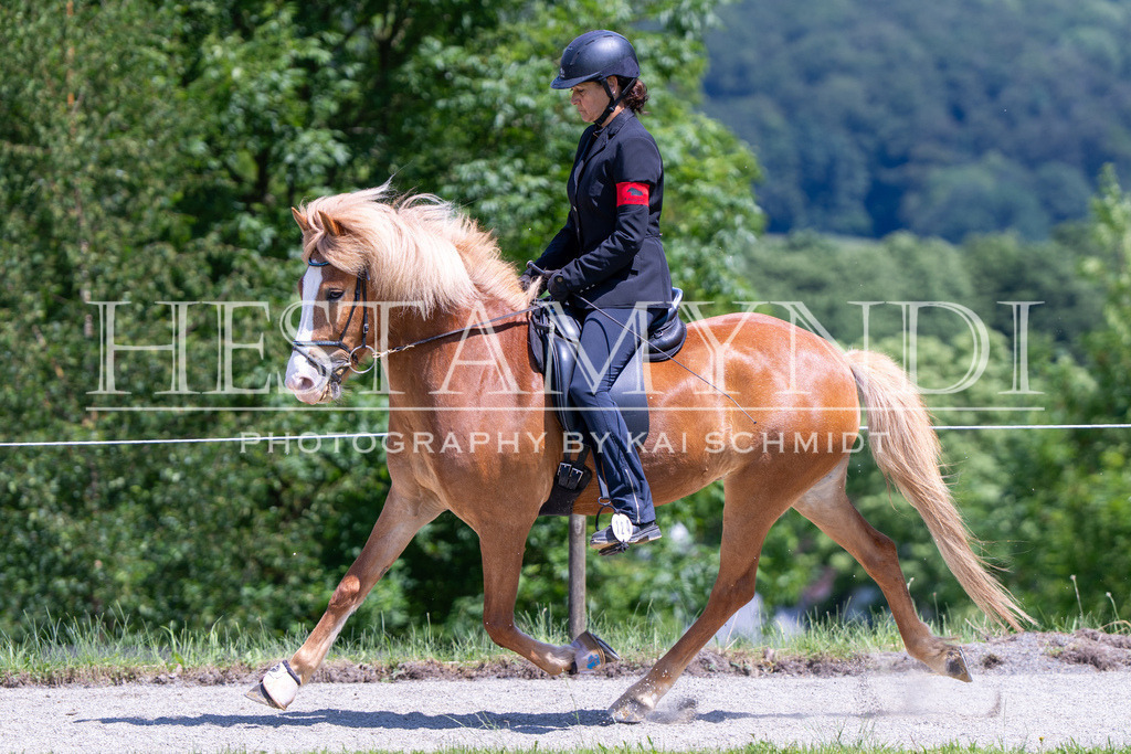 KAI03314 | Ihr sucht einen Fotografen für eure nächste OSI? Ich begleite auch euer Turnier für Islandpferde fotografisch.  - Realisiert mit Pictrs.com