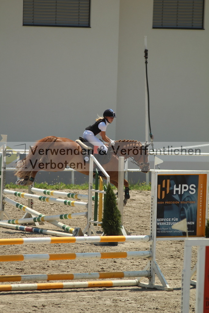 IMG_1238 | equestrian-live-com