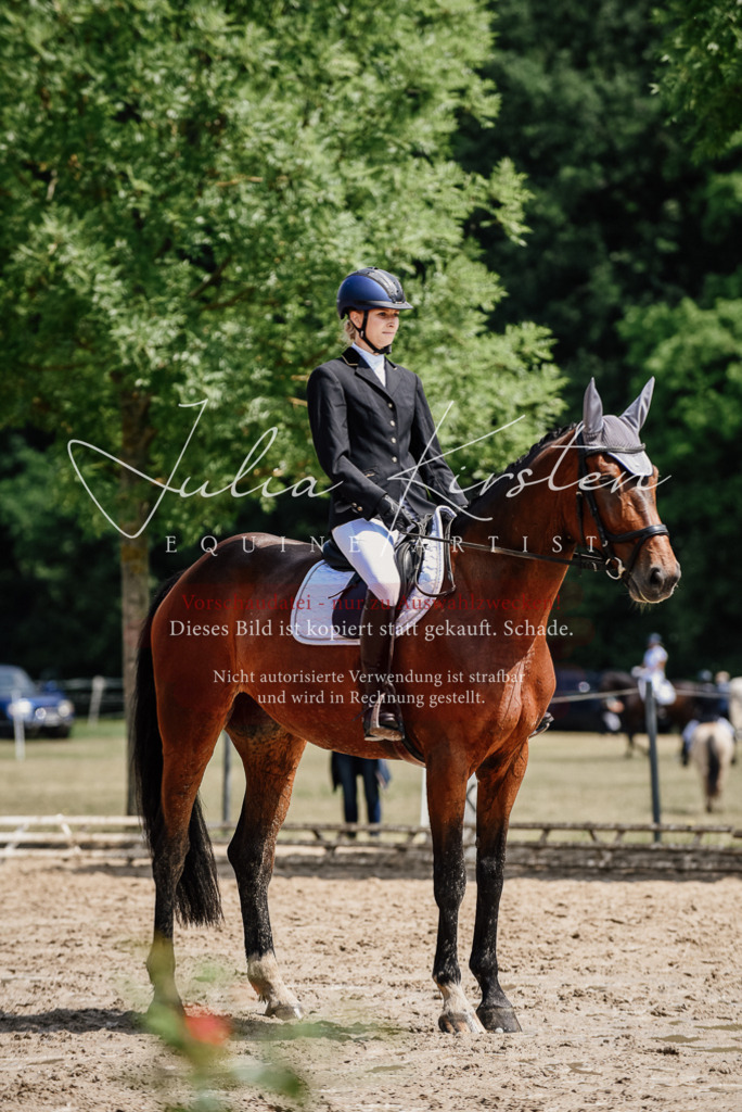 DSC_1170 | Pferde- und Turnierfotografie in Westsachsen. Pferdeportraits, Auftragszeichnungen und intuitive Kunst.
