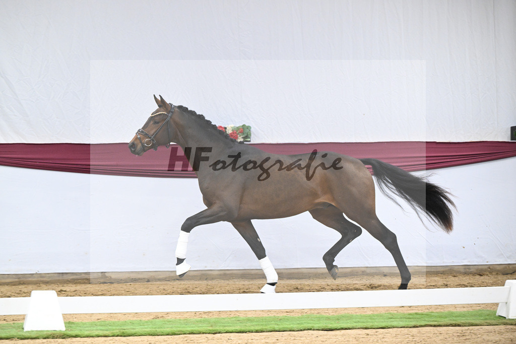 Kat-Nr. 123 Elastic x Belissimo M_Limbecker GnbH u Co. KG_47254071 | hf-fotografie - Realisiert mit Pictrs.com