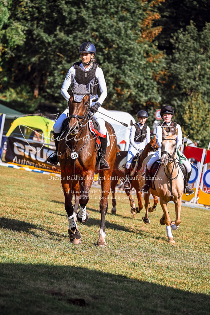 DSC_1188 | Pferde- und Turnierfotografie in Westsachsen. Pferdeportraits, Auftragszeichnungen und intuitive Kunst.