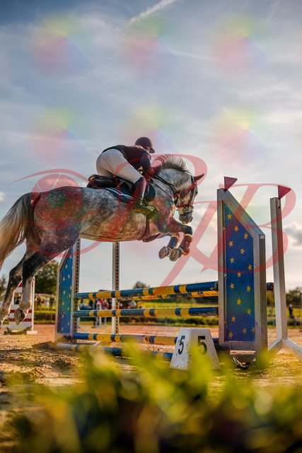 2026_10_03_Siefer-Hof_171334_Z63_21434398 | Professionelle Reitsport-, Turnier- und Eventfotografie von Robert Broda. Galerien mit ausgewählten und bearbeiteten Bildern direkt online ansehen und bestellen.