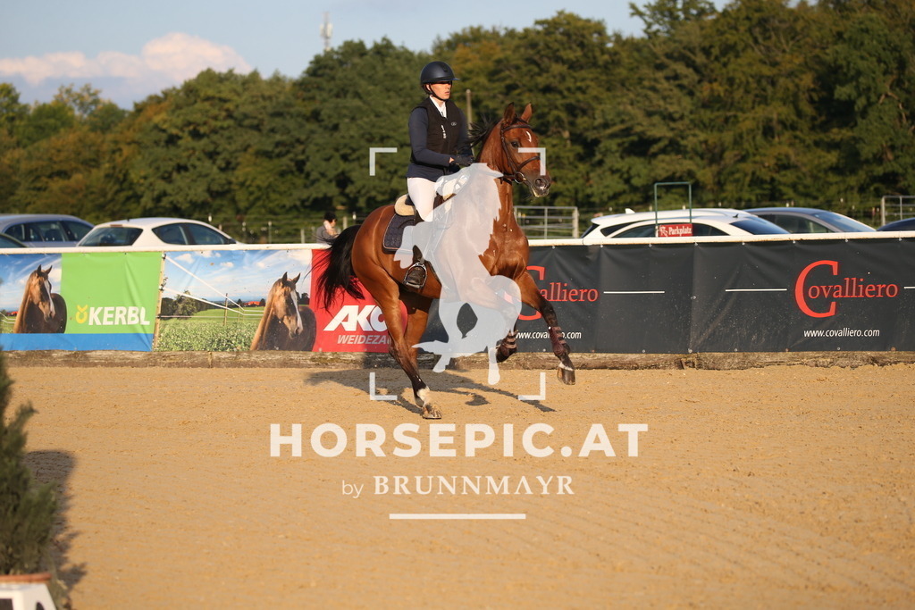 DL2Q6322 | Willkommen bei Brunnmayr - Design & Fotografie – Ihrem Spezialisten für Reitturniere und Pferdeveranstaltungen in Oberösterreich, Salzburg und Bayern! Seit über 17 Jahren sind wir leidenschaftlich dabei.