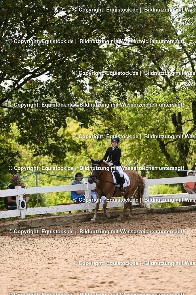 20230716_10-3_Reiter-WB Schritt - Trab - Galopp_0165 | equistock