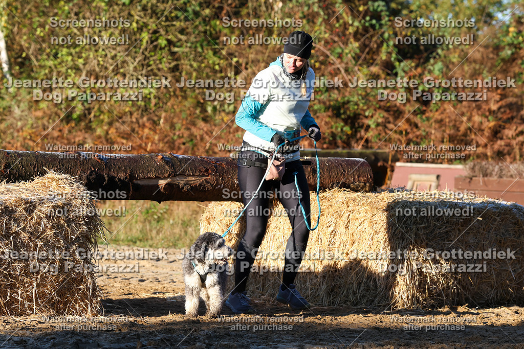 Dog Paparazzi - Strongdog 10-25-893 | Dog Paparazzi Jeanette Grottendiek Fotografie & Videografie