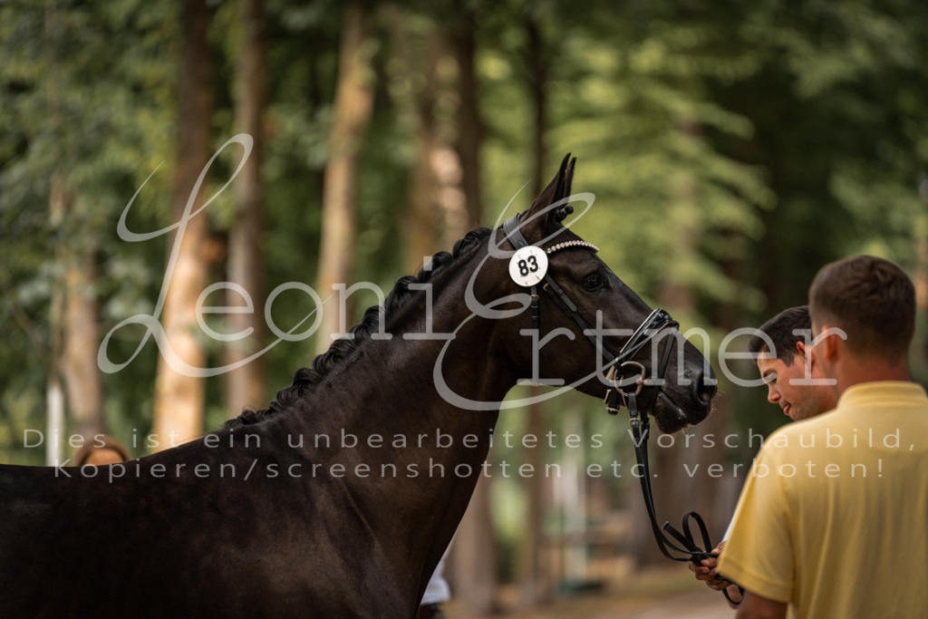 FrPfM00082 | Leoni Ertmer Photography - Realisiert mit Pictrs.com