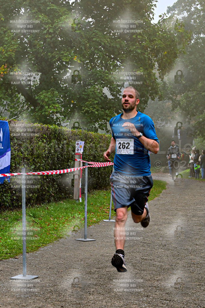 Z8N_1879 | la-psv - Realisiert mit Pictrs.com