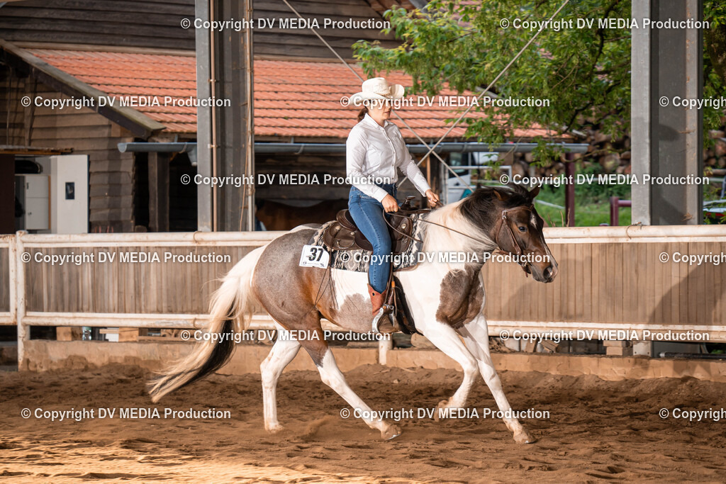 Erbach Tag 1-1027 | dv-media-shop - Realisiert mit Pictrs.com