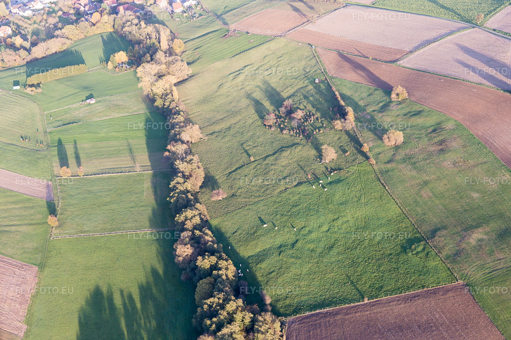 Vue aérienne: Vue de la ville à Rott dans le département Bas Rhin, France. Photo: IMG_104417.jpg prise le 31/10/2017 par Werner Riehm/FLY-FOTO.eu – Résolution de l'original: 5472 x 3648 px