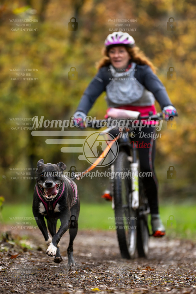MompixPhotography_Bischwiller23_Bike-42 | mompixphotography