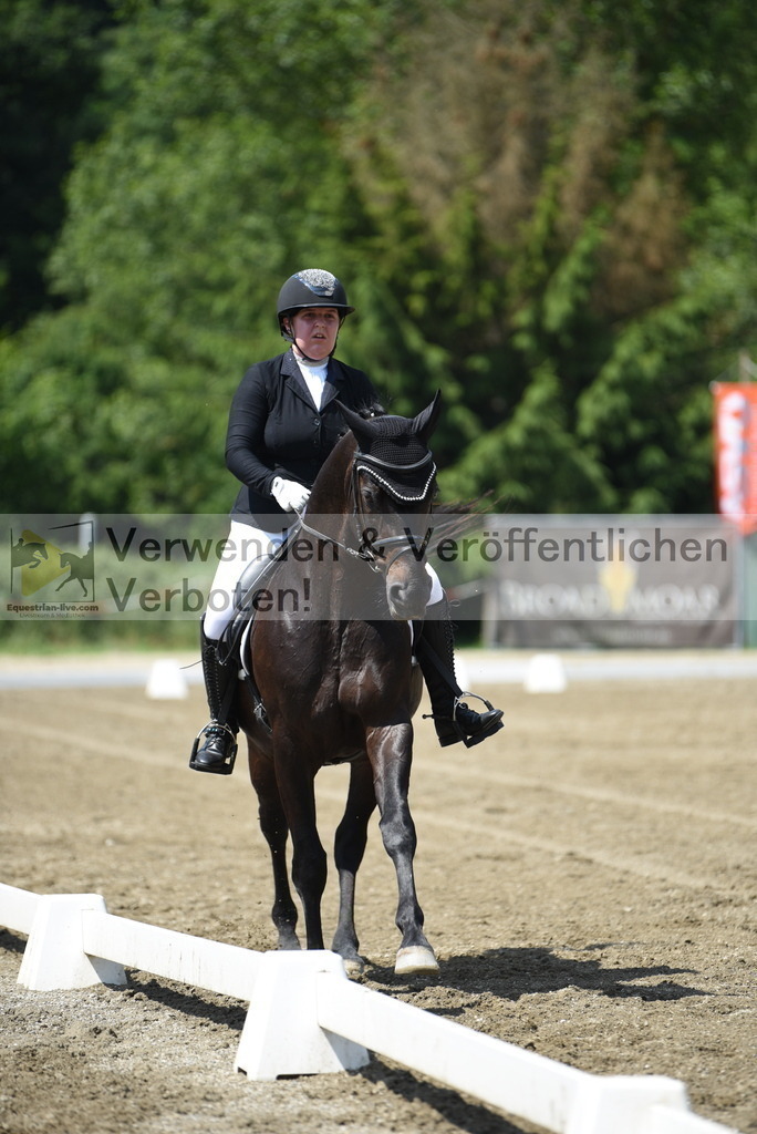 DSC_8782 | equestrian-live-com