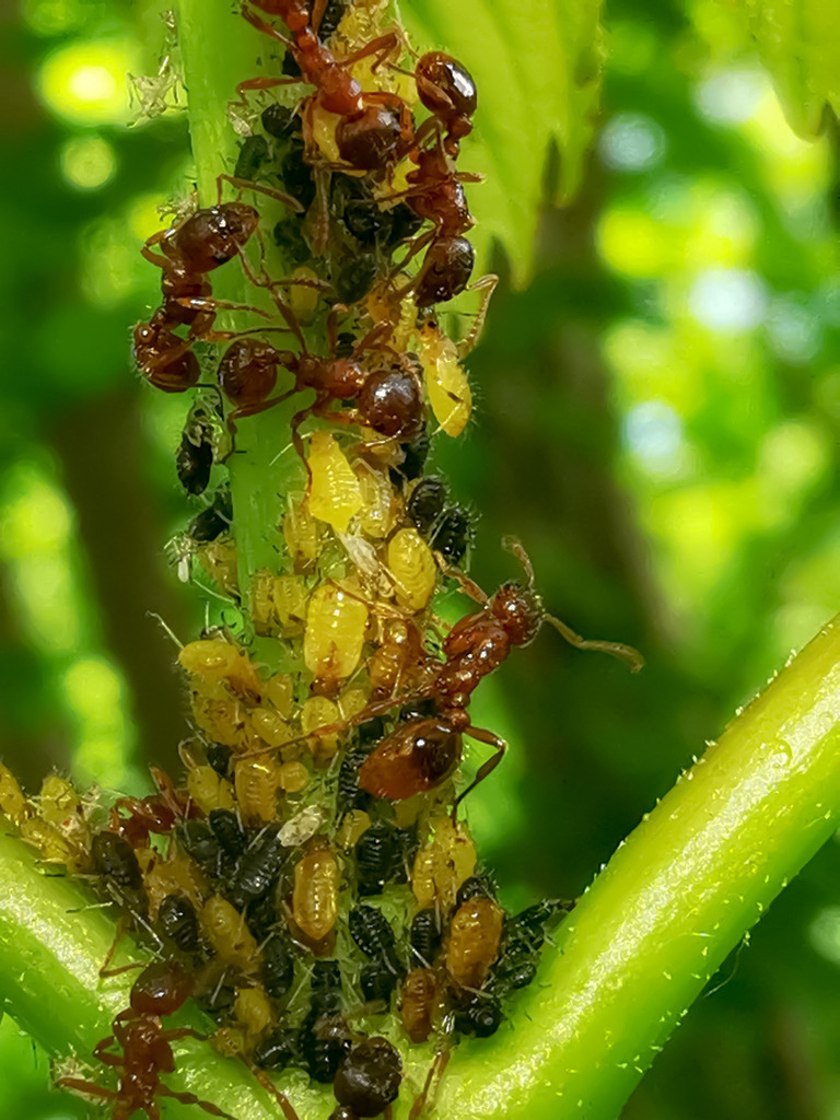 PSX_20230601_224828 | mtkfoto_ - Realisiert mit Pictrs.com