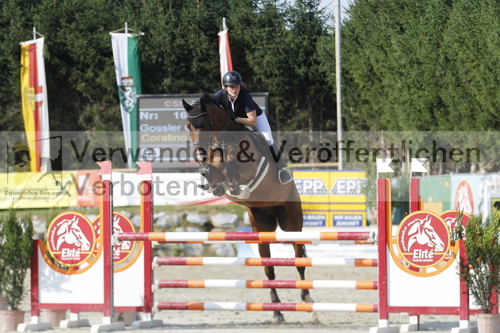 _MG_6572 | equestrian-live-com