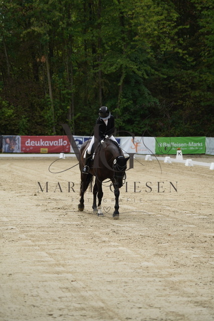 VAN03868 | Marie Giesen Fotografie - Realisiert mit Pictrs.com