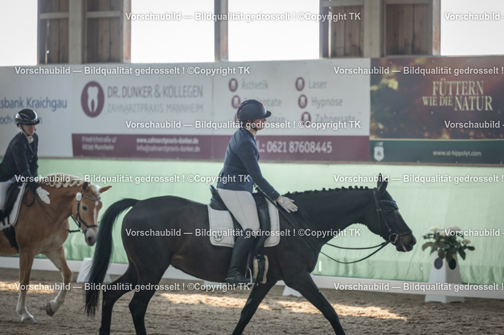 _D5A8333 | Emotionale Pferde- & People-Fotografie rund um Heidelberg, Leimen & Umgebung. Natürliche Fotos von Pferd, Mensch & Familie. Jetzt Termin sichern!