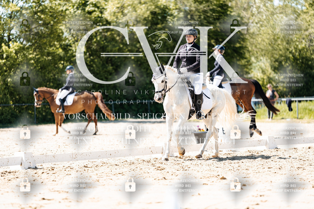 CK905546 | Turnierfotografie Pferdefotografie Trier Rheinland-Pfalz Pferdesport Reitsport Tierfotografie Sportfotografie Pferdevideo Pferdevideografie Equestrianvideography equestrianphotography  - Realisiert mit Pictrs.com