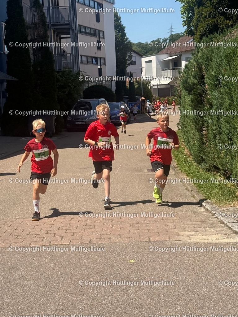 IMG_1684 | Hüttlinger Muffigelläufe - Realisiert mit Pictrs.com