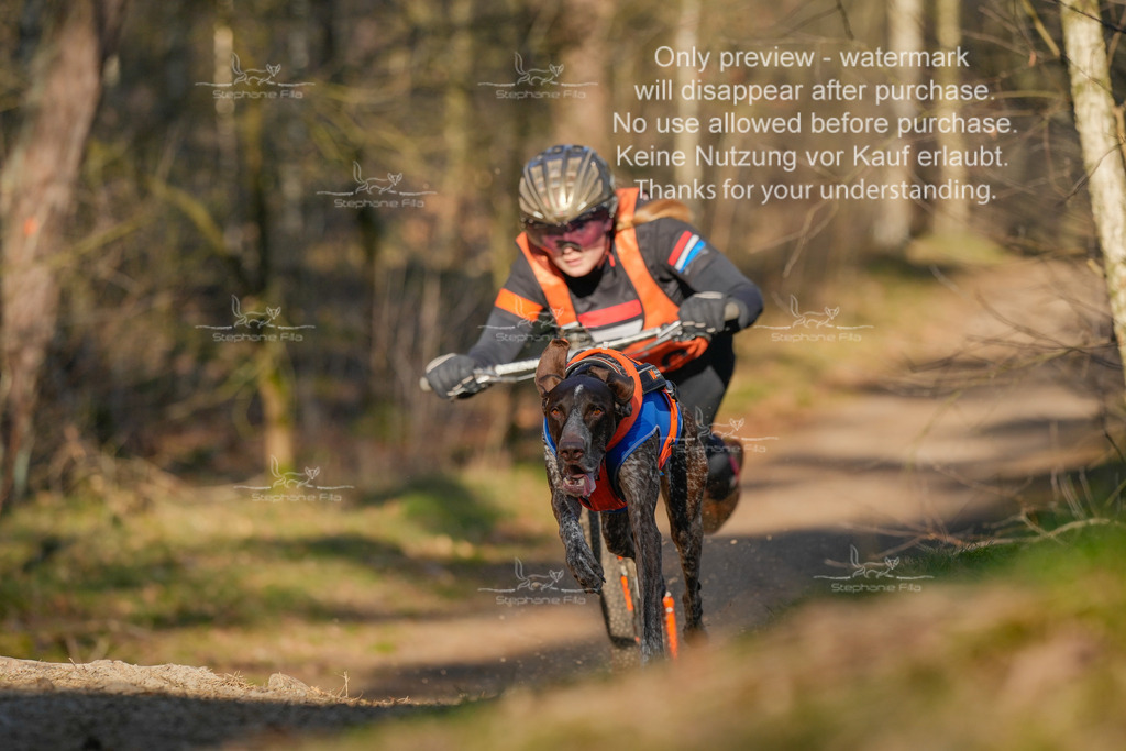 Sa_Scooter-214 | stephaniefillaphotographie - Realisiert mit Pictrs.com