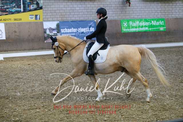 IMG_2781 | Turnierfotos kaufen im Webshop von Daniel Kuhl Photography – entdecke professionelle Reitsportfotos aus Turnieren & Events. Hochwertige Turnierbilder online bestellen & sichern. Jetzt Fotos von Reitsportturnieren kaufen!