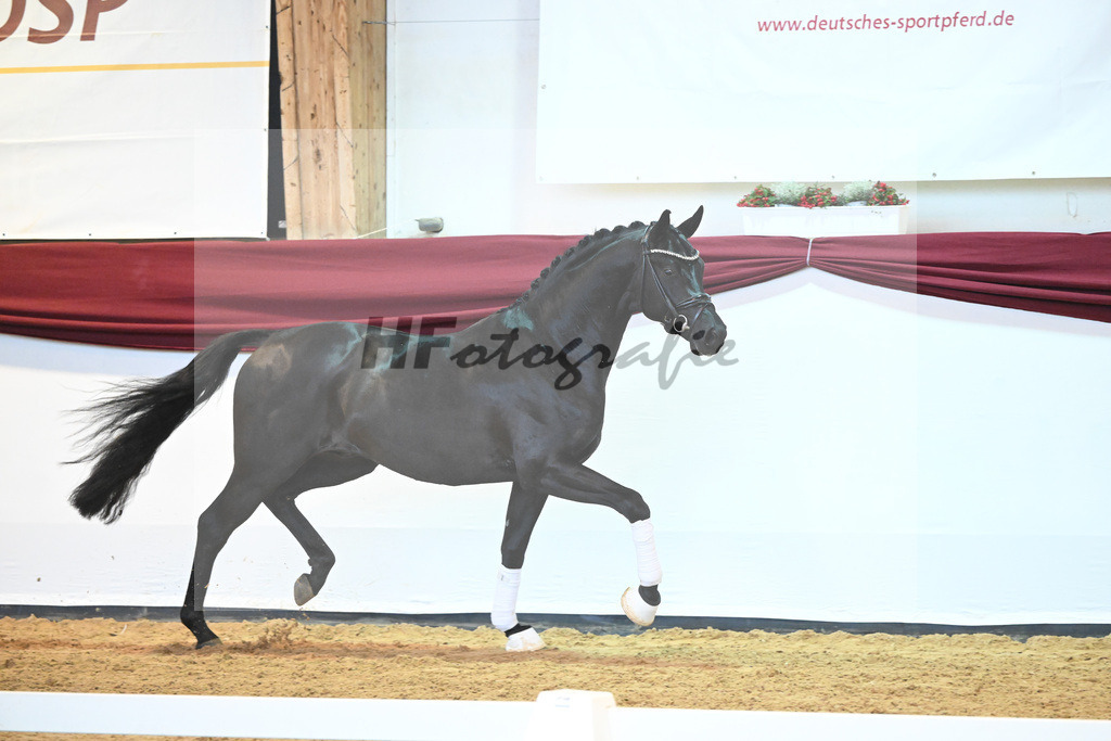 Kat-Nr. 8 v. Bon Courage_Maier_66220167 | hf-fotografie - Realisiert mit Pictrs.com