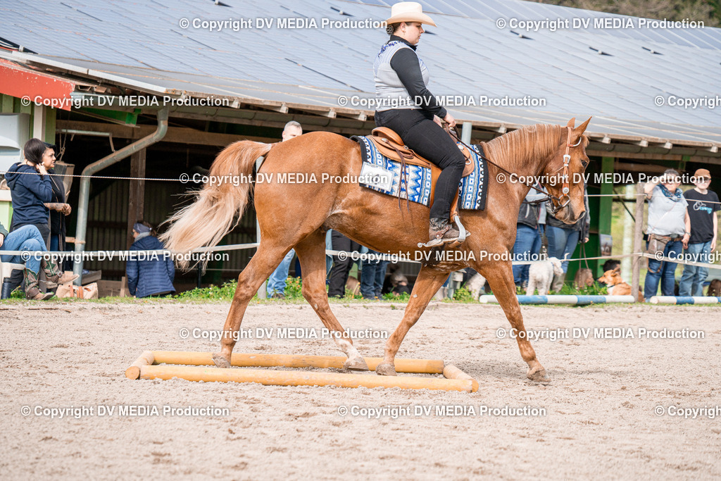 BAL02659 | dv-media-shop - Realisiert mit Pictrs.com