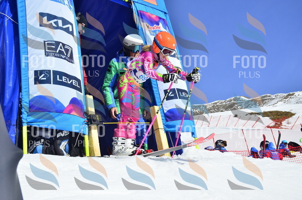 _ELE0313 | holidayphoto