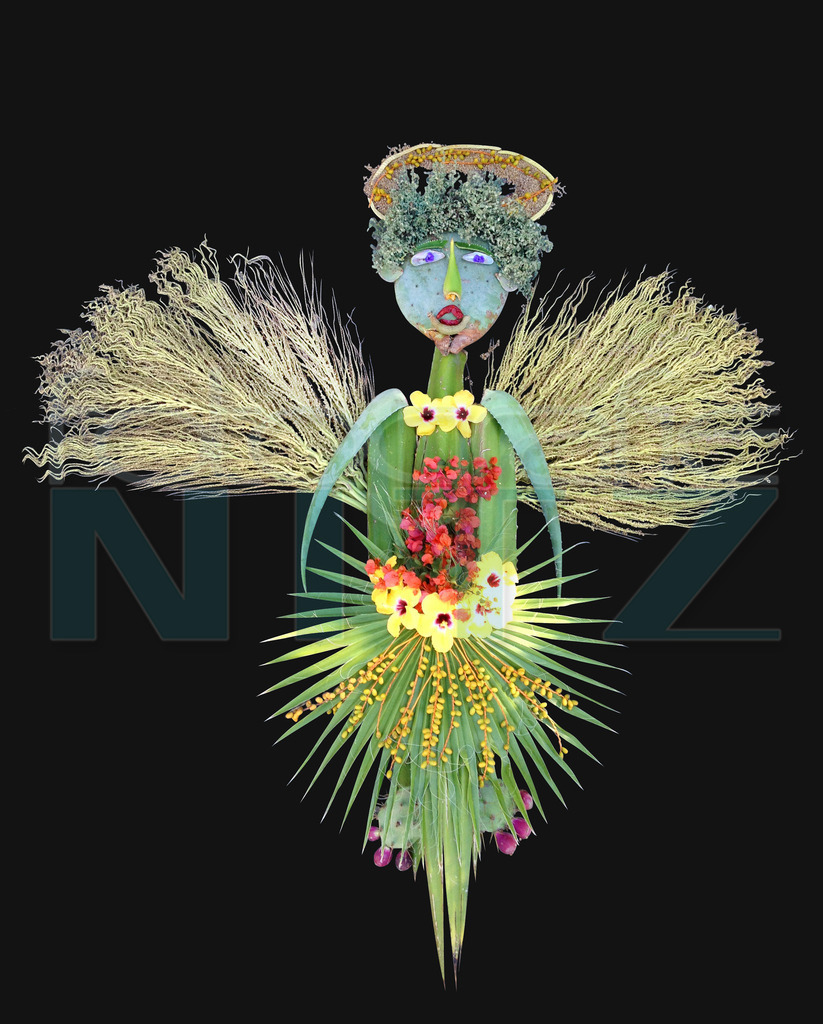 55 | Nitz Fotografie aus Montabaur bietet Ihnen hier die Möglichkeit Bilder auszusuchen und zu bestellen. 