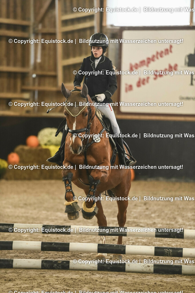 20231029_07_Stilspring-WB-50cm_0047 | Foto: Thomas Hartig