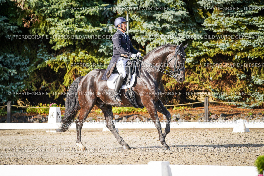 DSC00576 | Pferdegrafie