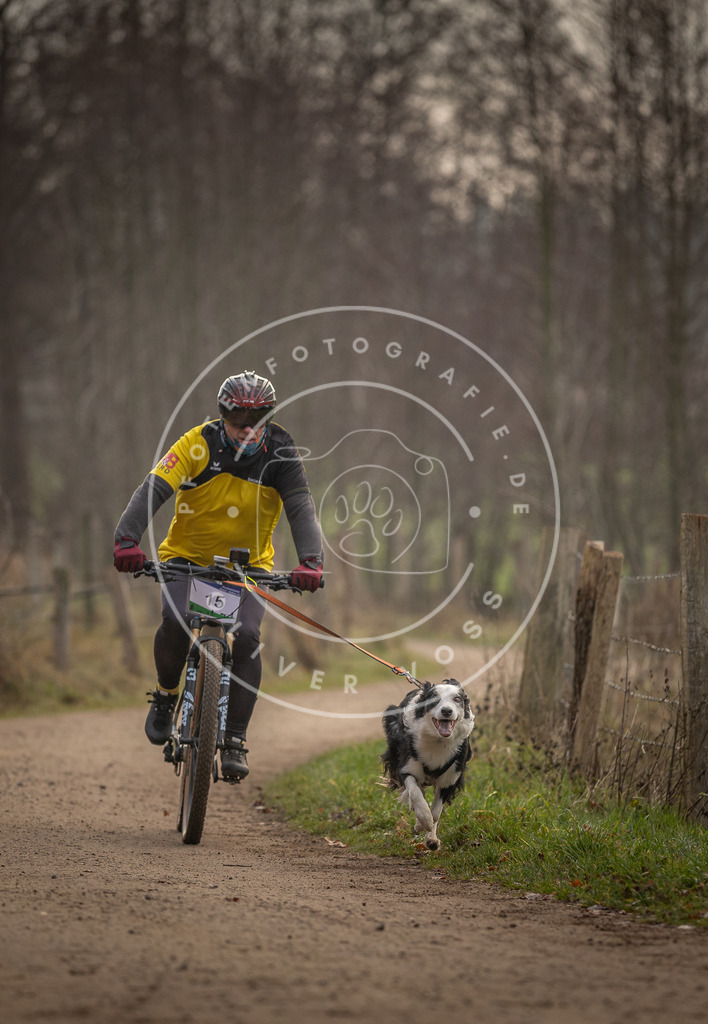 Pfotenfotografie_DV3A1825 | Hundefotografie, Tierfotograf, Pfotenfotografie, Fotoshooting Hund, Hunde Portrait, Hundesport, Hundeportraits, Heideshooting, Hunde, Sportfotograf, Hundefotograf, Turnierhundsport, THS,  - Realisiert mit Pictrs.com